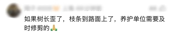 开车撞到树被认定全责!上海一司机喊冤:树杈太长挡路 是树全责