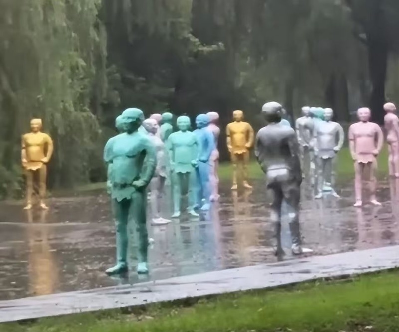 游客拍摄的雨中”池中人“（局部）