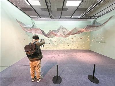 双年展参展作品摄影/本报记者 王磊