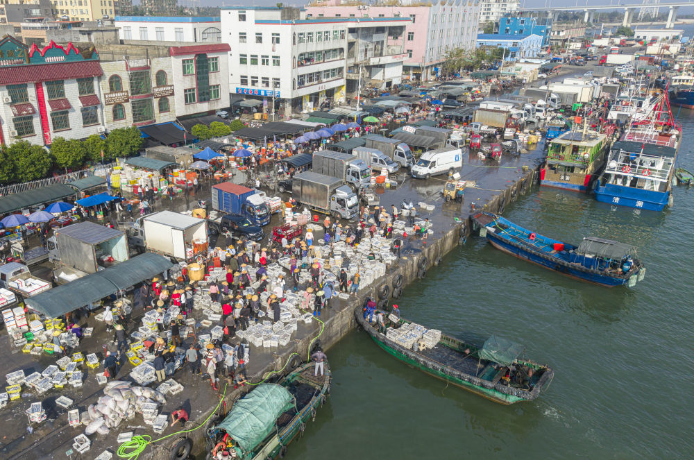 ↑1月13日,海南省文昌市清澜港码头人来车往购销两旺(无人机照片)。新华社发(蒙钟德摄)