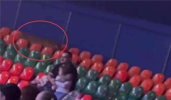 俄罗斯马戏团老虎献艺时跃入不雅众席 部分不雅众一动不动 网友：不愧是战役民族