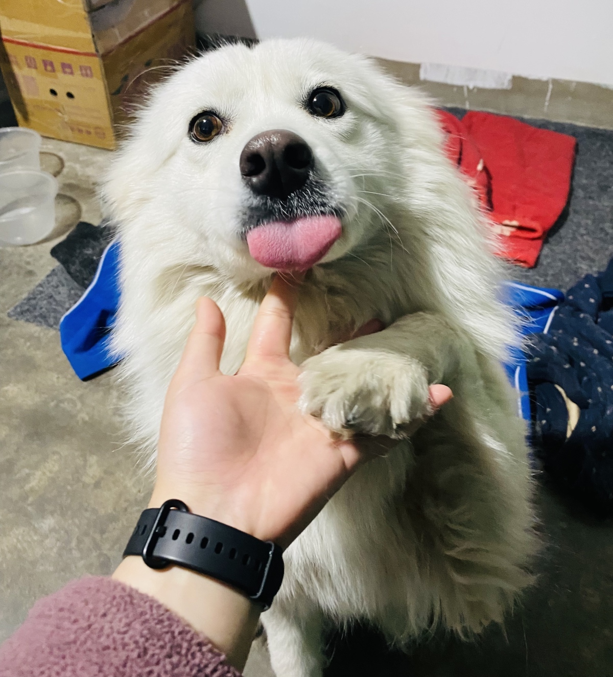 受访者供图