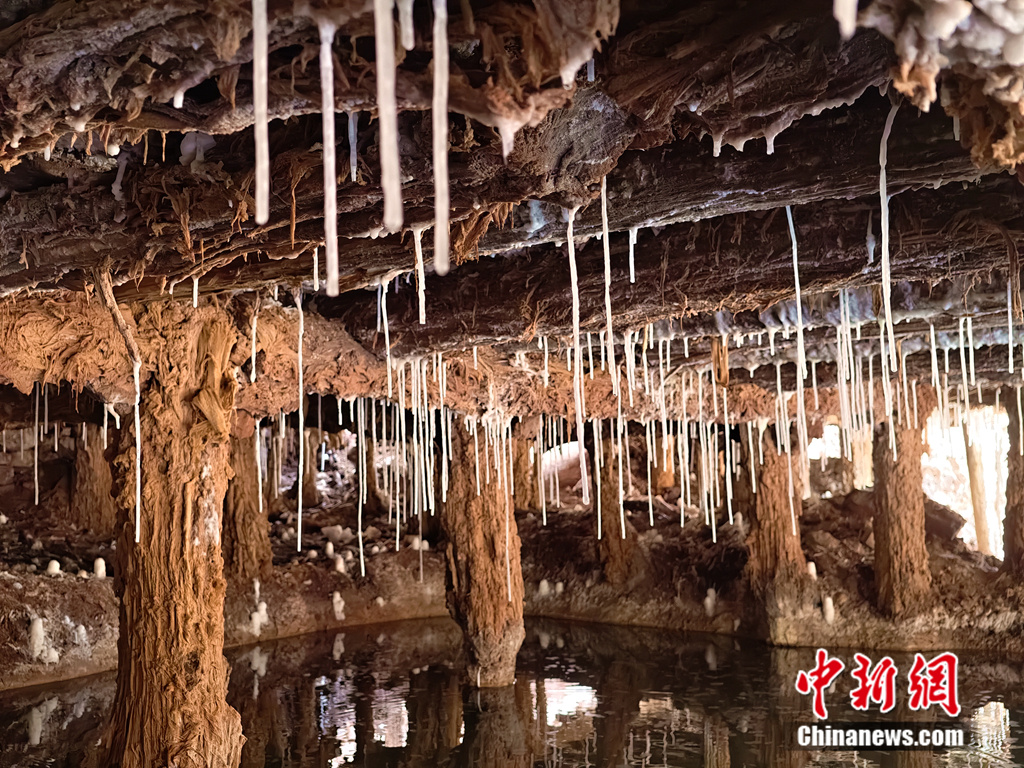 古盐田棚架上悬挂的盐柱。中新网记者 任思雨 摄