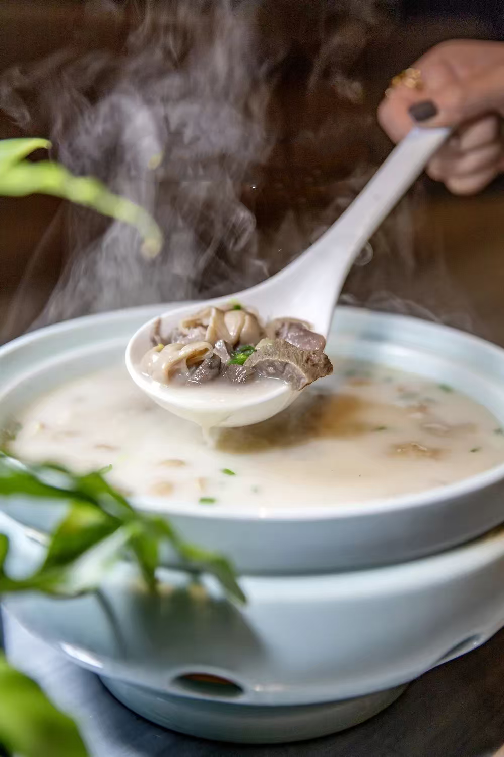 肠肺汤.png