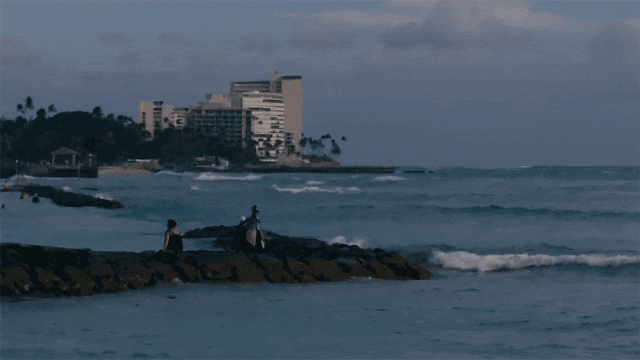 16.gif