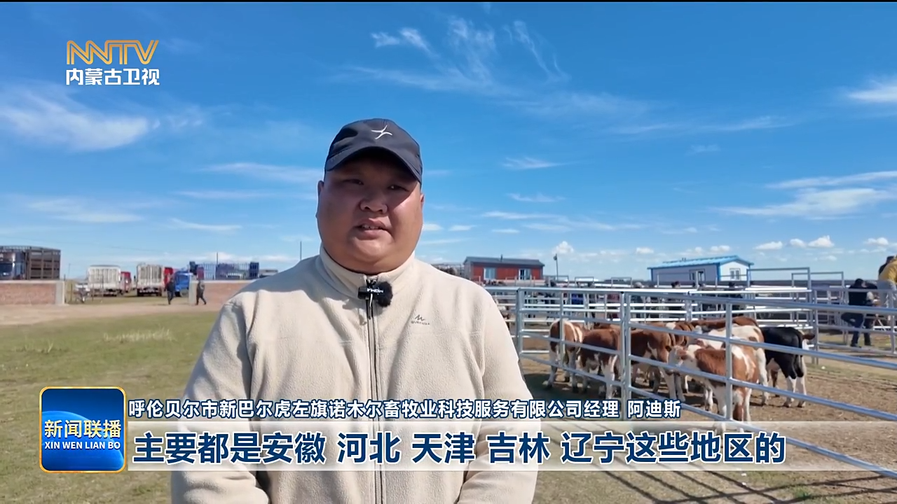 视频截图