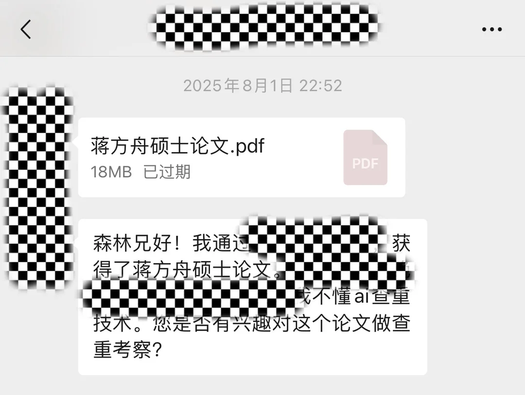 2025年,有人将蒋方舟的硕士论文文件发给“抒情的森林”请求做查重。除特殊标注外,均为受访者供图