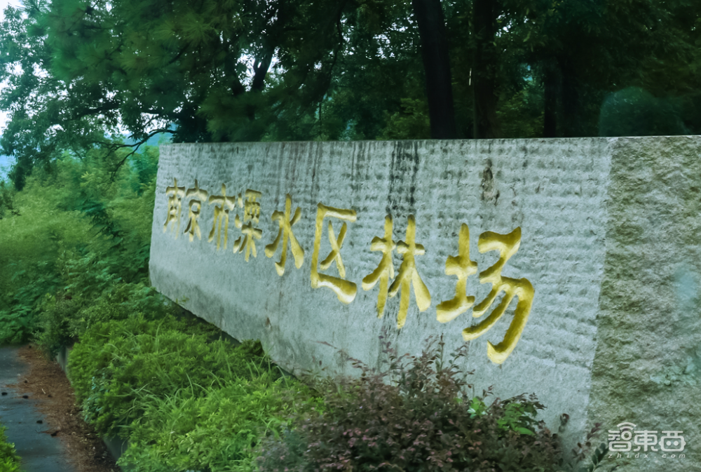 一个应用，覆盖一万种场景：寻找AI落地“最优解”