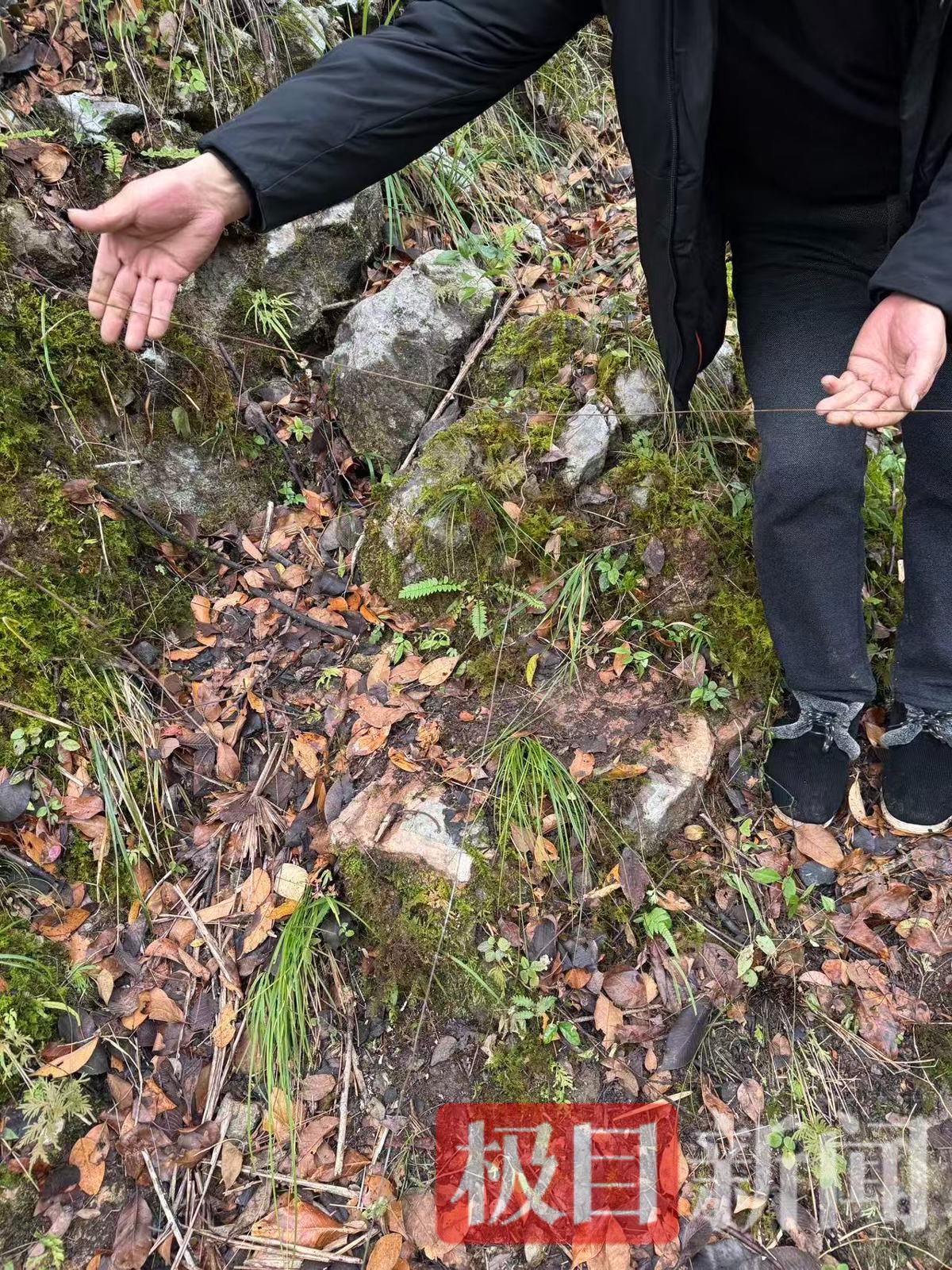 事发地山上设有分叉的电网