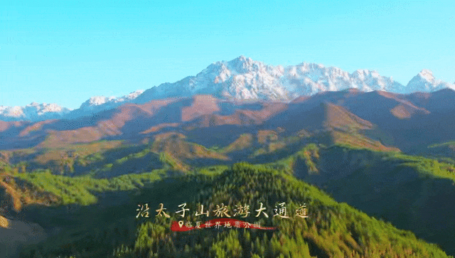 我的文件(49).gif