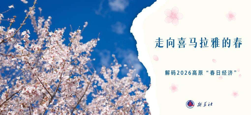 走向喜马拉雅的春——解码2026高原“春日经济”