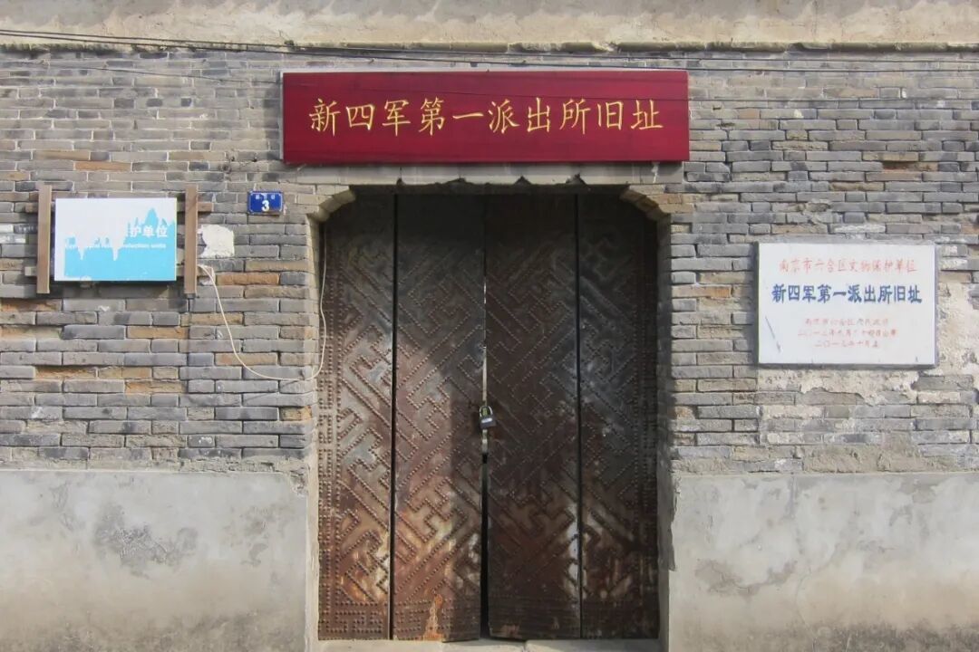 最美市民公园-池杉林.jpg