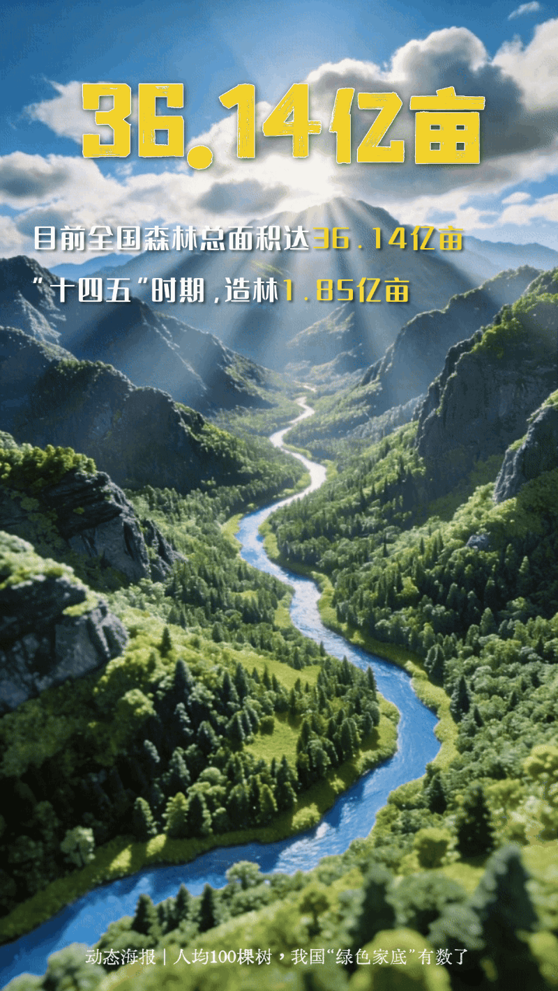 人均100棵树!一组动态海报看我国“绿色家底”