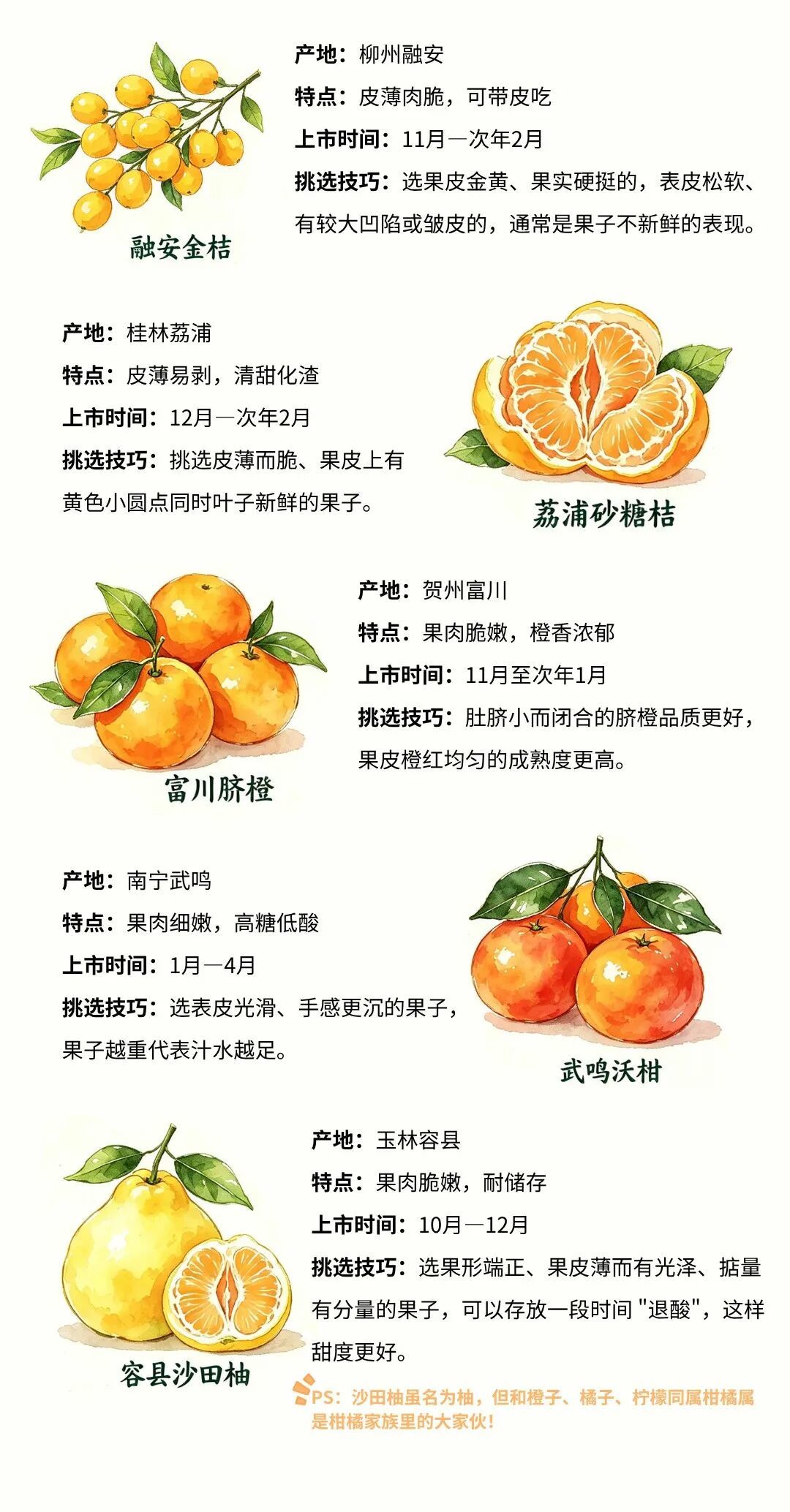 图片由AI辅助制成。图源：广西日报