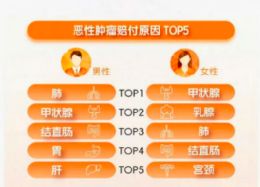 图片 6