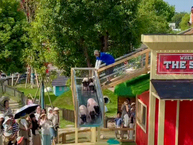 9月22日(2) 00_00_00-00_00_30.gif