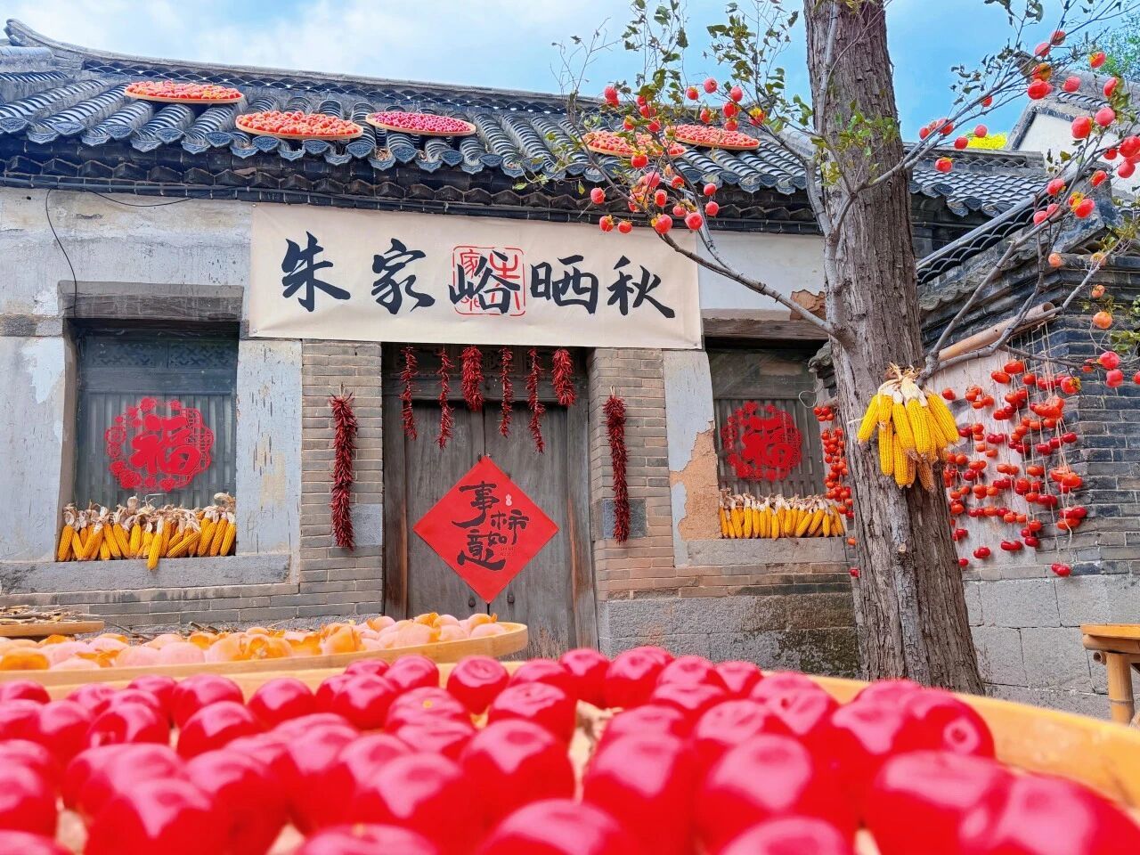 微信图片_2026-09-24_154733_858.jpg
