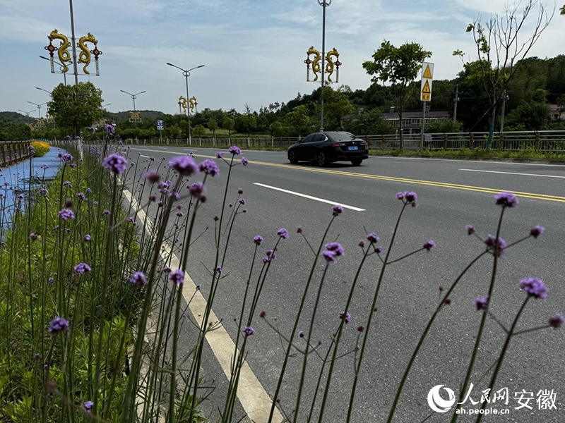 S603环万佛湖旅游公路。人民网记者 胡雨松摄