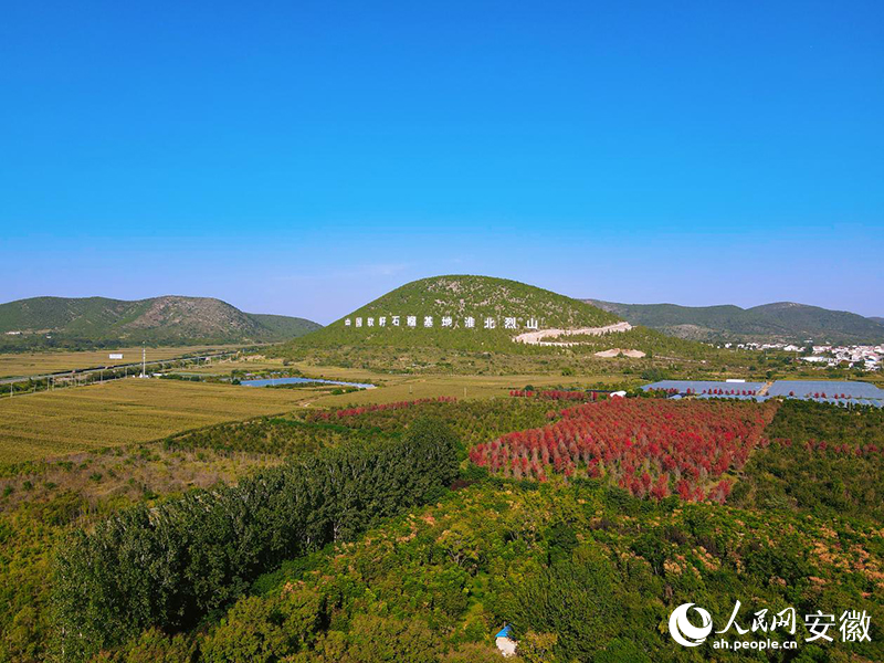 无人机拍摄中国软籽石榴基地淮北烈山。人民网记者 王晓飞摄
