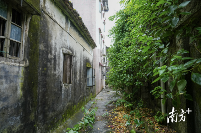村落深处,一栋现代民宅的后方,隐匿着两间低矮平房,这里便是唐国安故居。