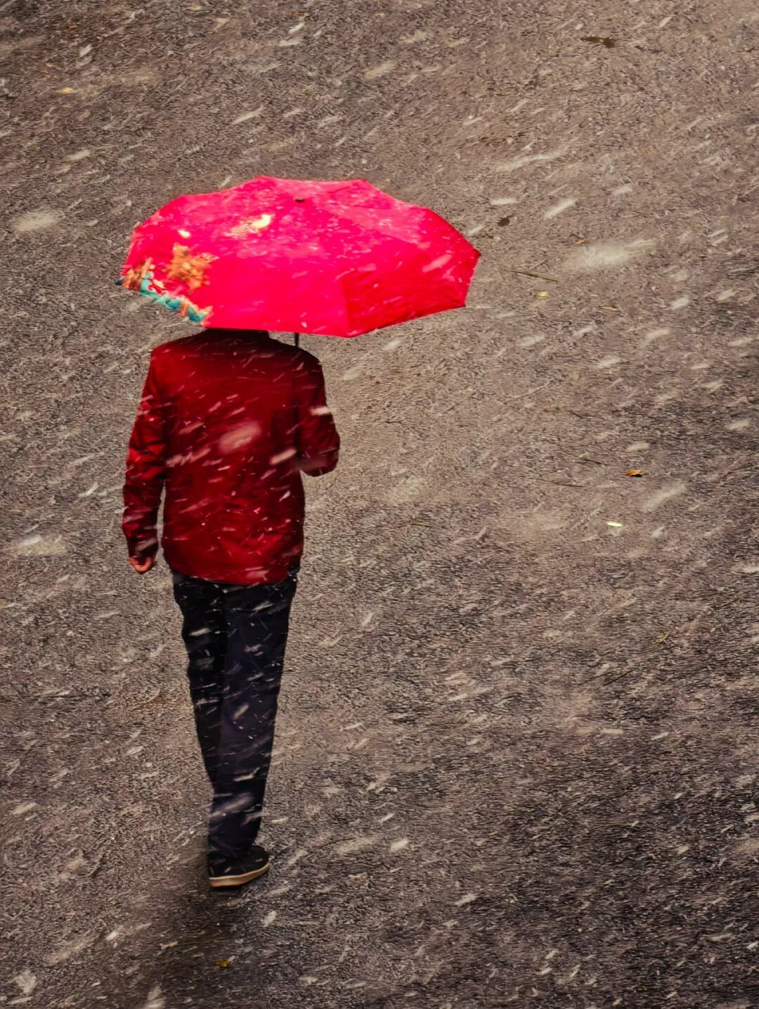 真的下雪啦,坐标宝山@Ryan_樱冉°