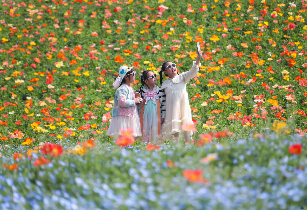 ↑4月2日，小朋友在江苏省句容市白兔镇一处花海赏花拍照。新华社发（钟学满摄）