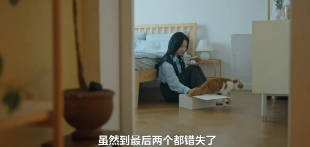 图源电视剧《喵育权战争》