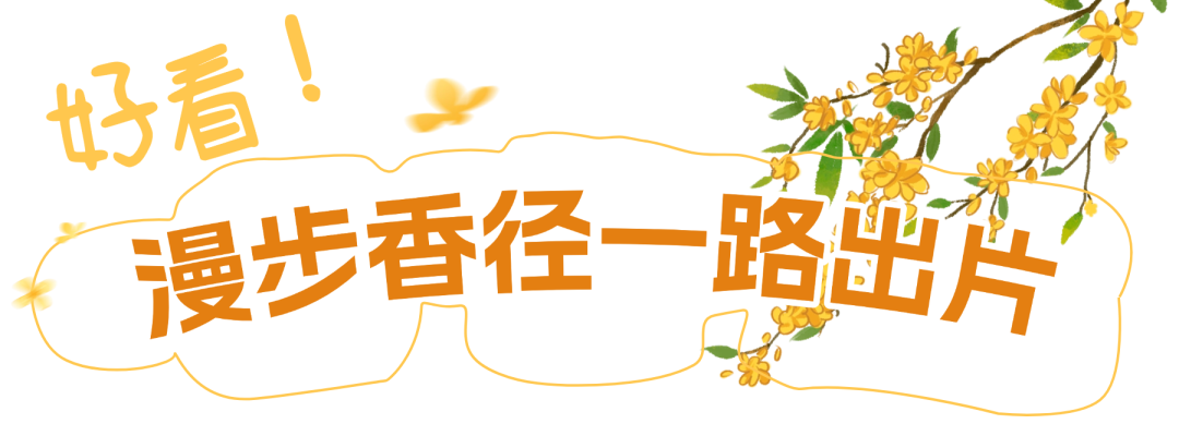 恋秋时刻-标题(1) (1).png