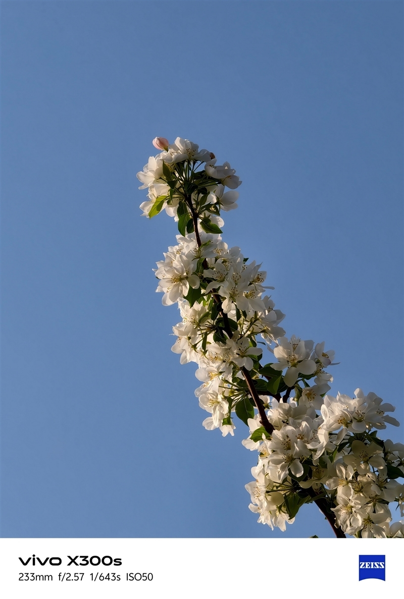 天玑9500搭配蔡司影像 vivo X300s手机全面评测:省心耐用的直屏主力机