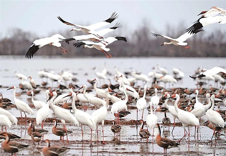 民生福祉绘就新画卷