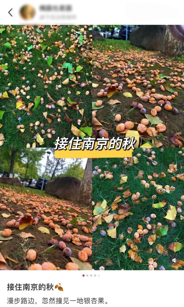 截图自社交平台