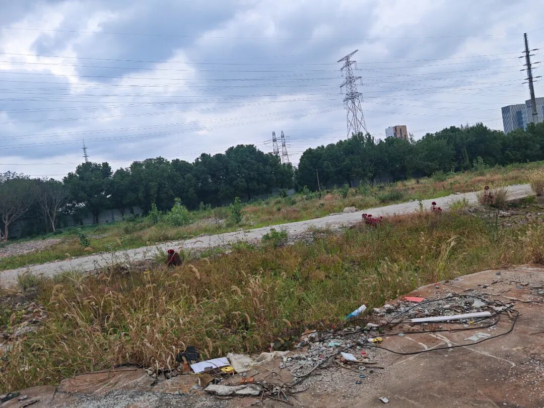 微信图片_20261016162707_465_4.jpg