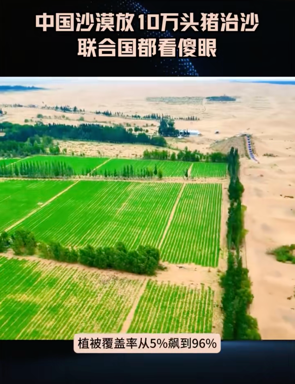 △网传短视频截图