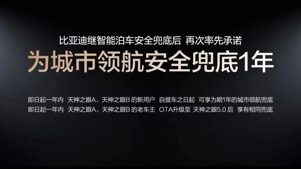 智驾兜底20天,无人接招比亚迪