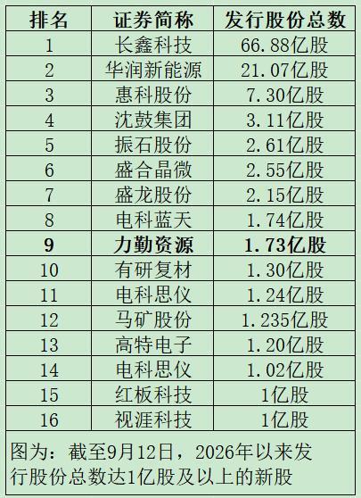 2026年以来过亿发行新股规模排名表