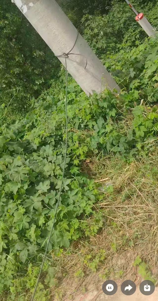 路上拉的线缆。资料图片