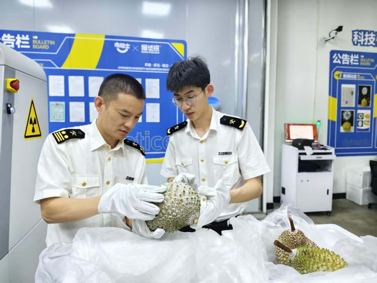 宁波海关关员在冷冻榴莲进口企业开展调研。 韦钧菲摄.jpg
