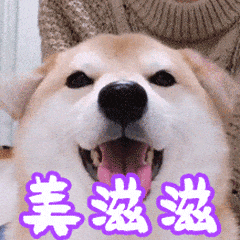 54773189e0c0b38eddc0d6d2f672082a.gif
