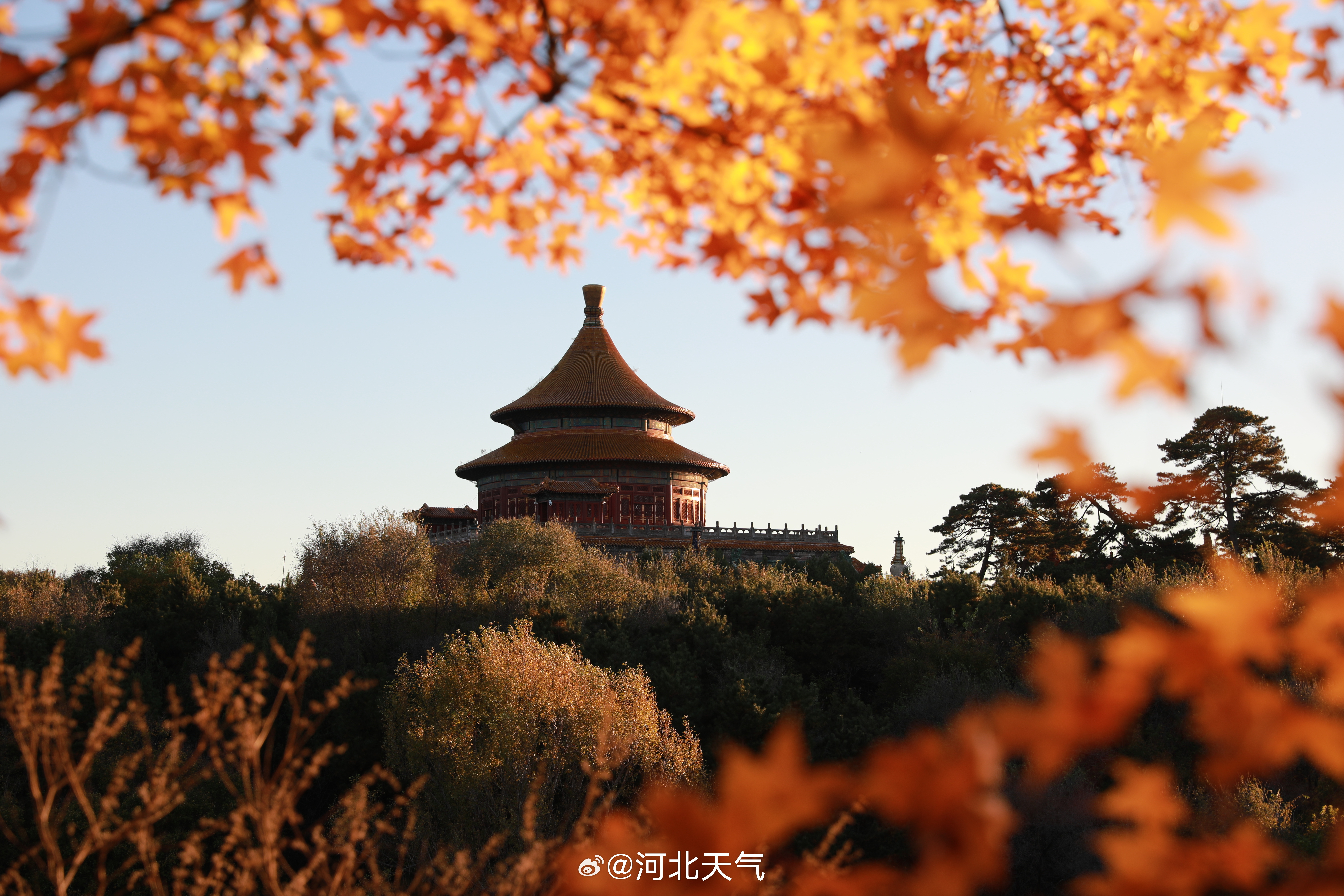 #大美河北气象万千# 霜降时节，承德群山被秋色染遍，金黄与赤红彼此映