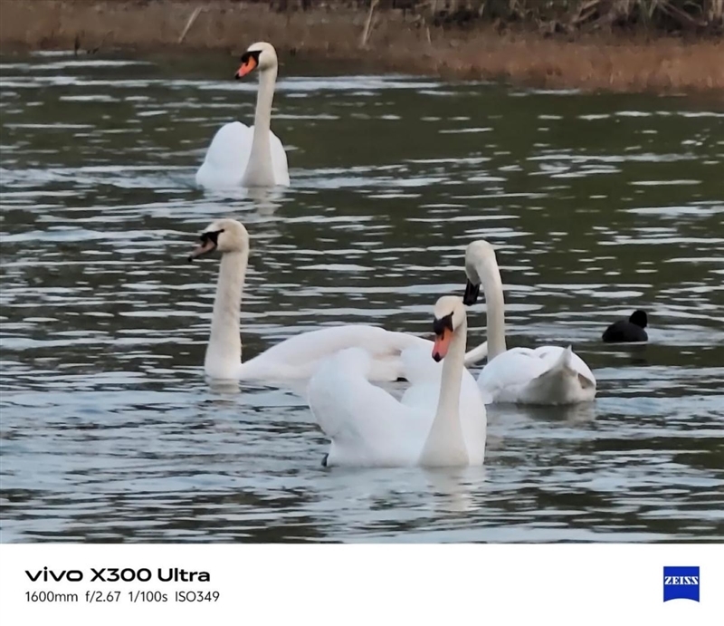 14-400mm终极全焦段!vivo X300 Ultra手机全面评测:依然是年度影像机皇