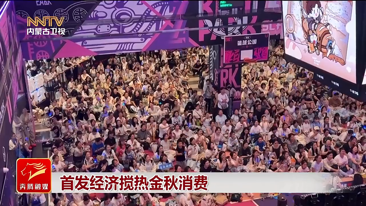 视频截图