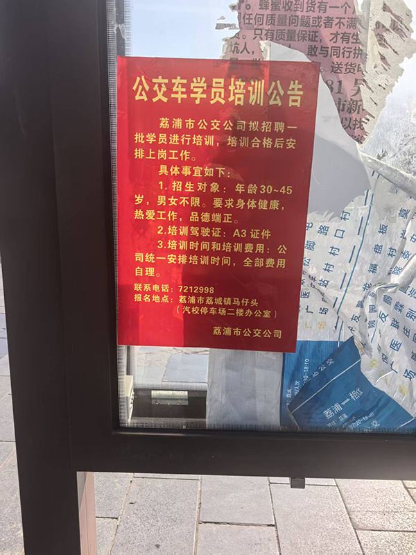 贴在公交站台的公交车学员培训公告。 澎湃新闻记者明鹊摄