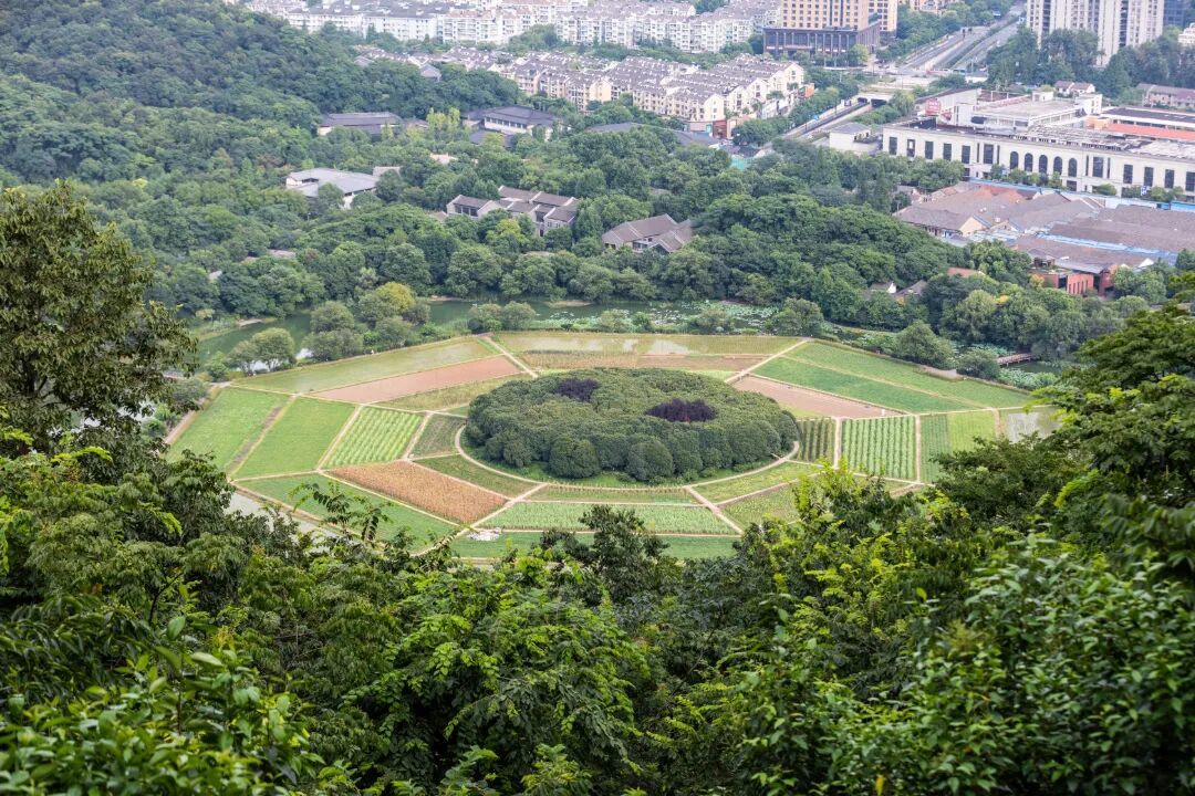 摄图网_700923027_杭州八卦田遗址公园_(企业商用) (1).jpg