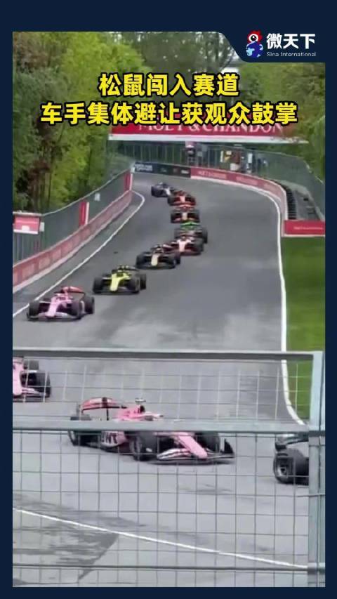 松鼠闯入赛道,车手集体避让获观众鼓掌