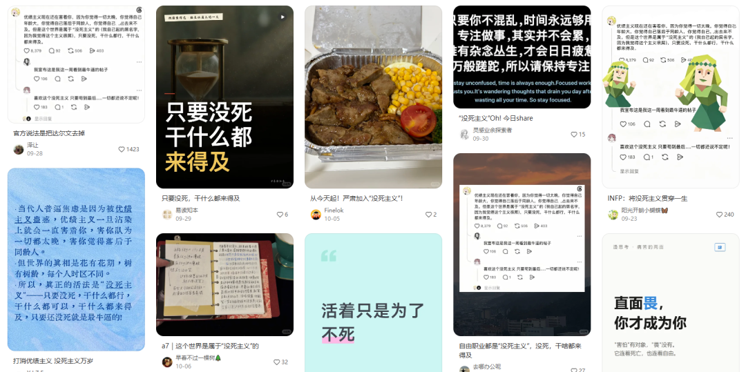 打消优绩主义,没死主义万岁。(图/社交媒体截图)