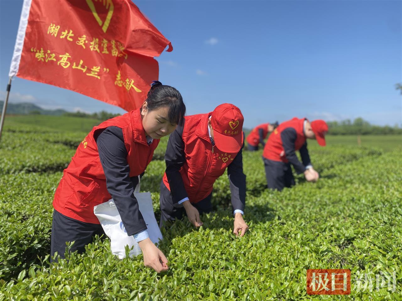 “峡江高山兰”志愿服务队.jpg