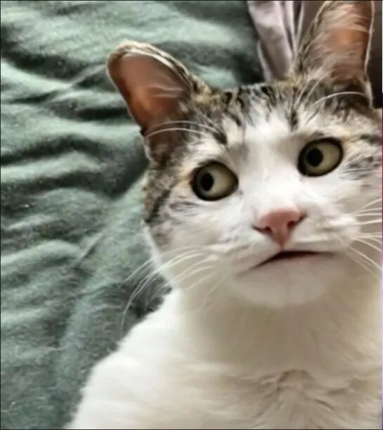 你接没接住不知道,反正我眼神给出去了 图片来自网络