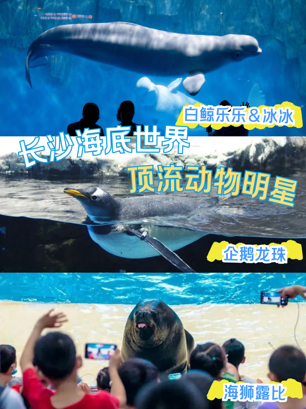 fbc3f2938fd95310a54fd7811c92e250.png