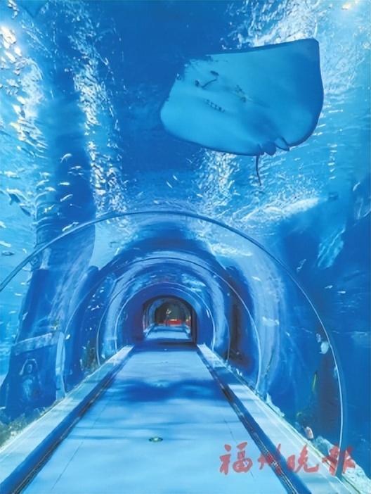 海底隧道效果图。