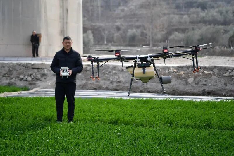 2024年3月9日,甘肃省陇南市武都区汉王镇农业技术推广站技术人员杨亮亮操作植保无人机给冬小麦施肥。 新华社记者 陈斌 摄
